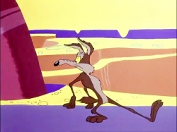 کایوت و رودرانر (فصل 1 - قسمت 8)